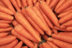 Quelques secrets sur la préparation des carottes pour le stockage pour l'hiver